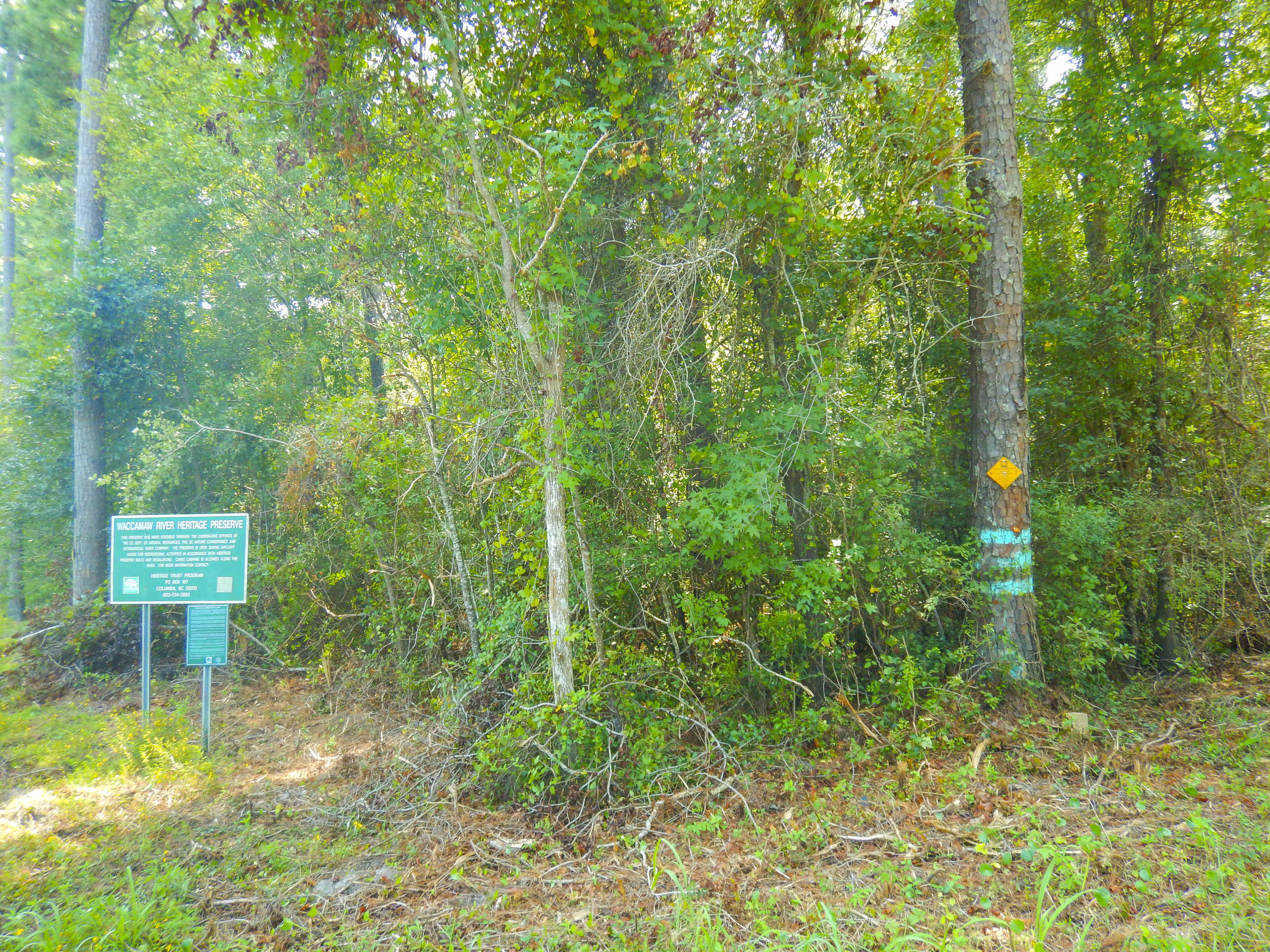  Sign at the road entrance to an upland section of the WRHP &amp; WMA on Highway 9, just west of the Chris Anderson Landing. 