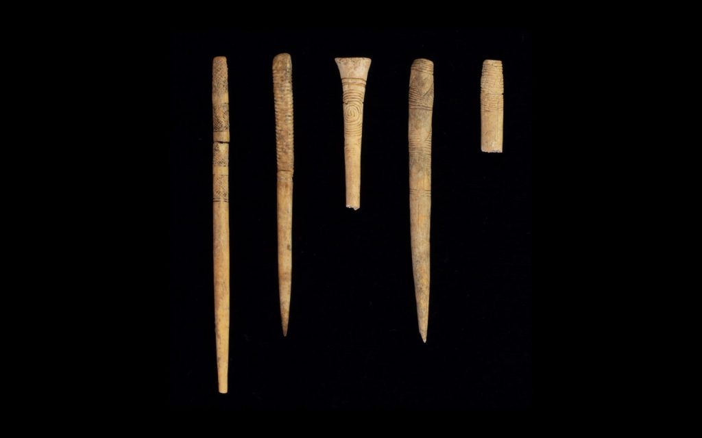 Researching the Late Archaic Bone Pins of South&nbsp;Carolina