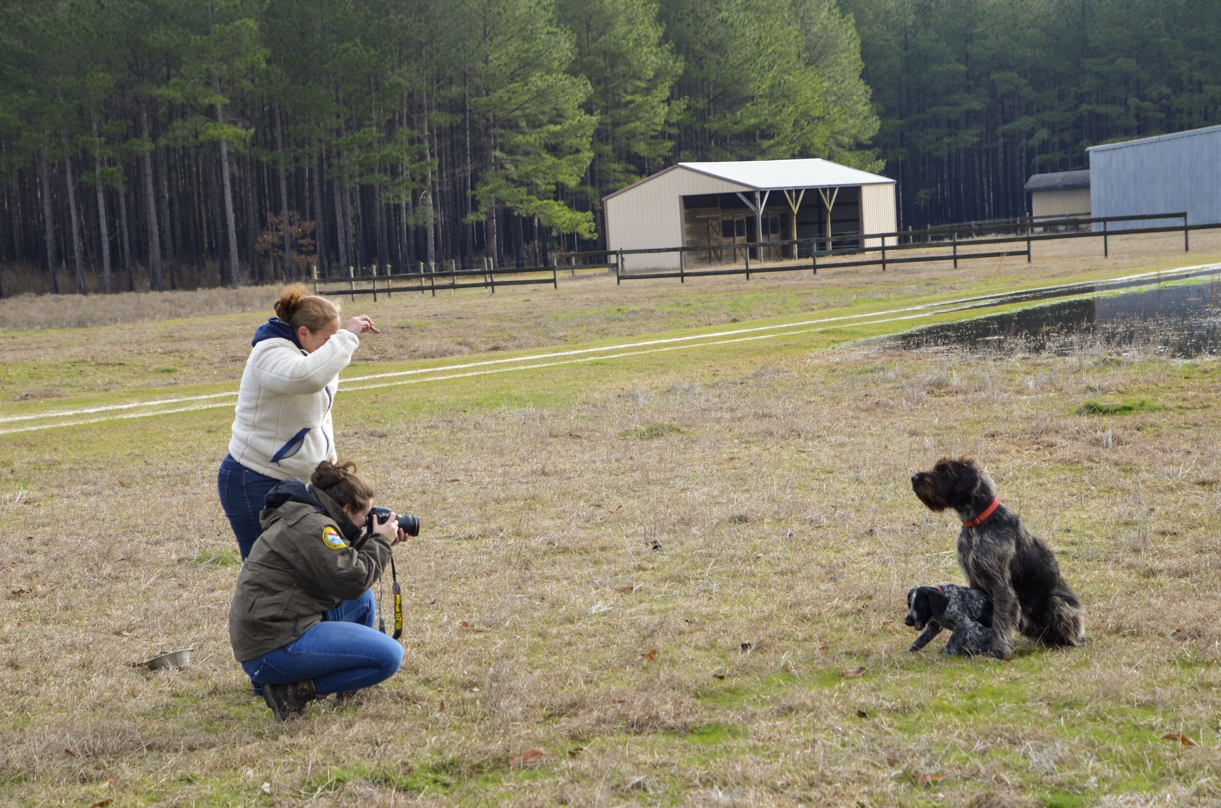 Love Farm Dog Photos_DLucas_027_1.JPG