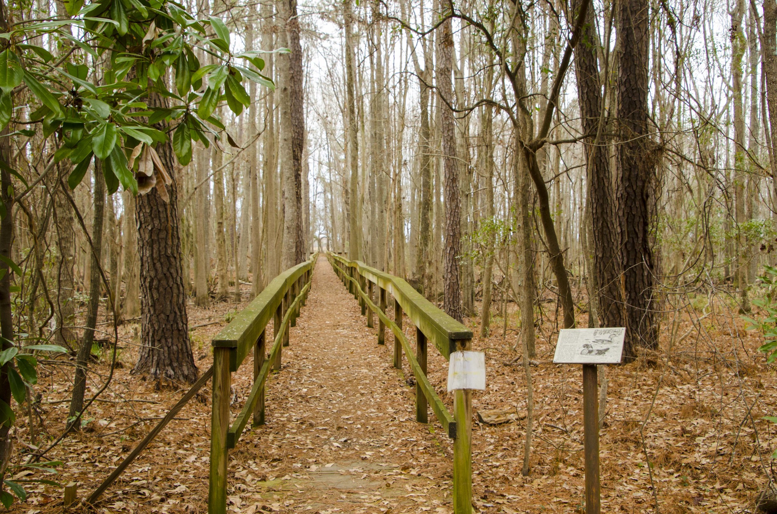 SNWR-Bluff Unit for Blog_5.JPG