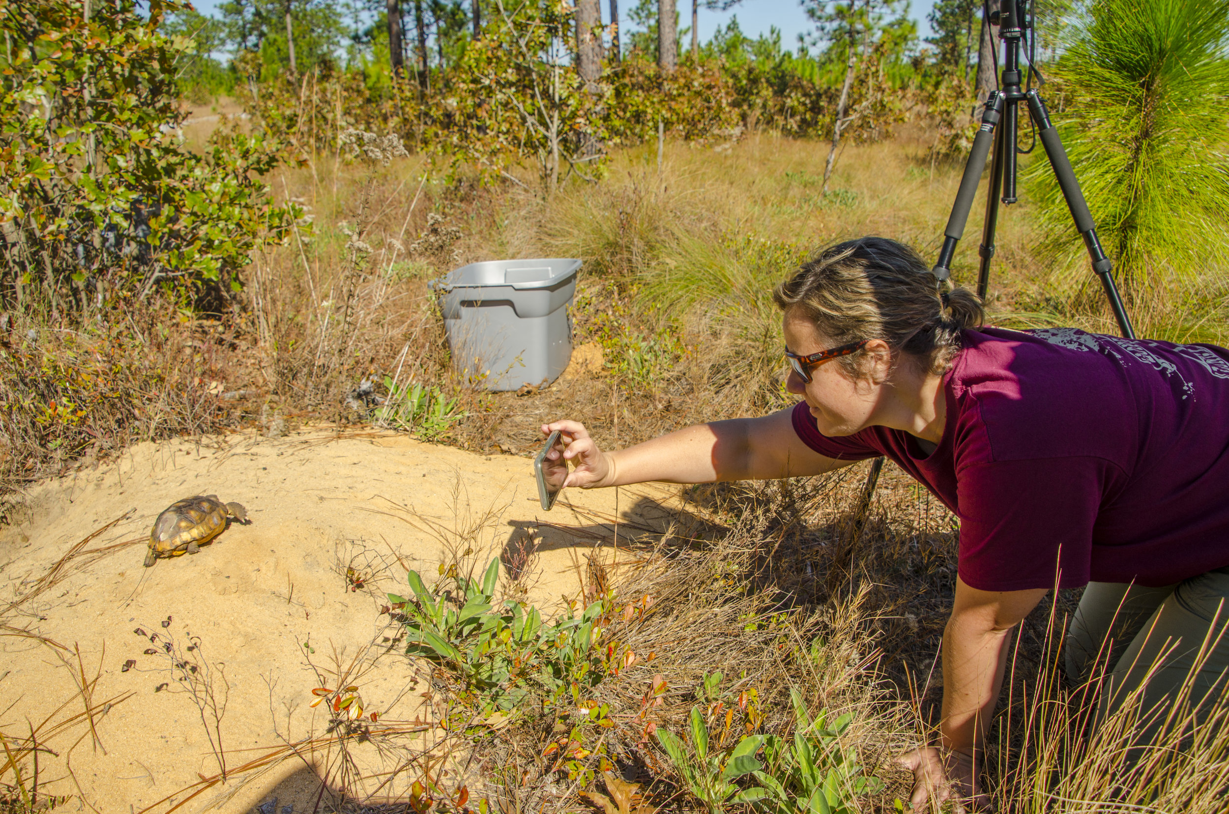 AGTHP Headstart Release by DLucas_029.JPG