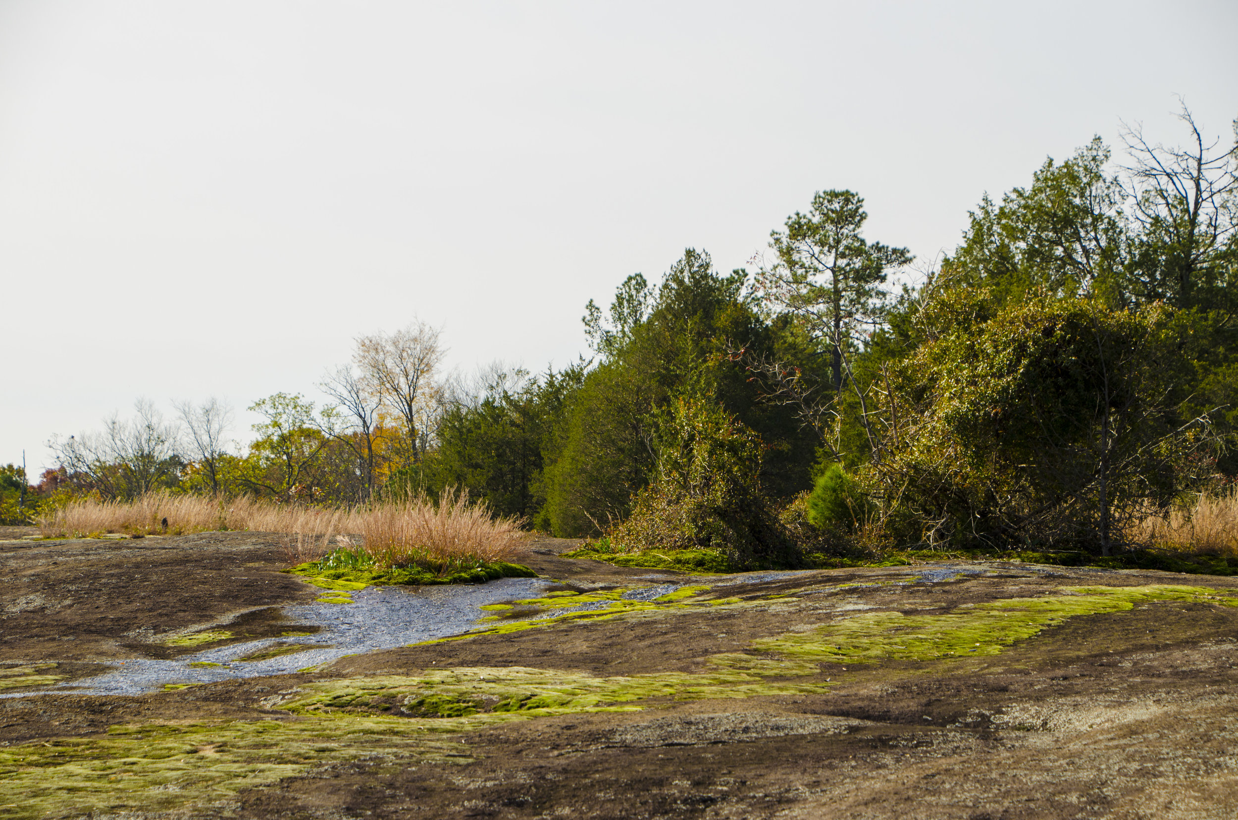 Generous fall rains have filled the pools to overflowing.