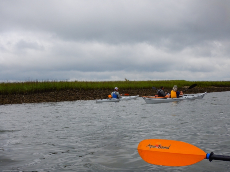 Beaufort- Harbor R Kayak May 2016_DLucas_006.JPG