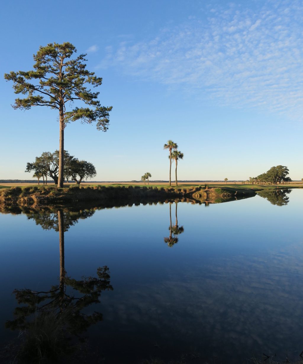 Be More Like&nbsp;Trees