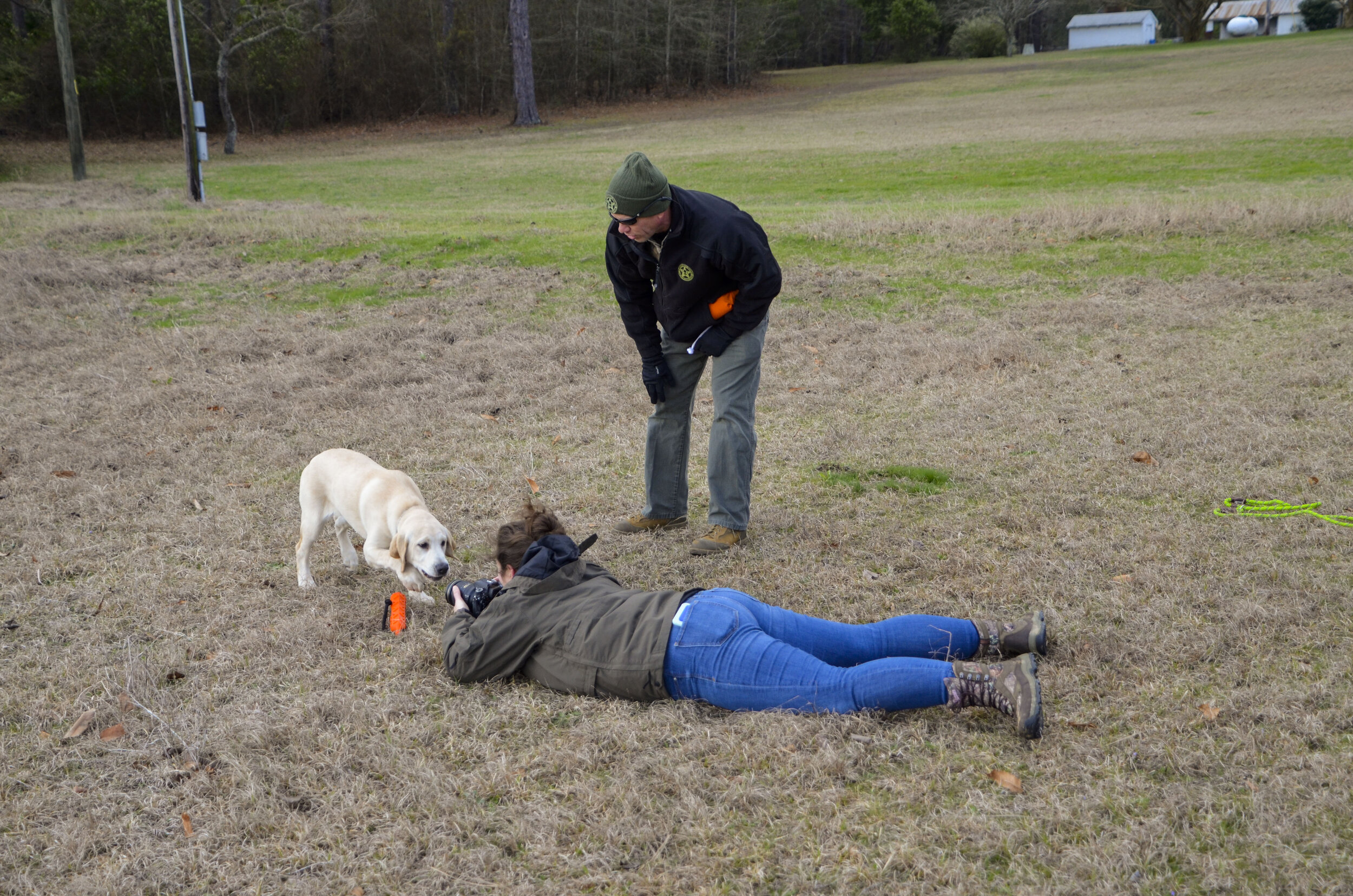 Love Farm Dog Photos_DLucas_095_1.JPG