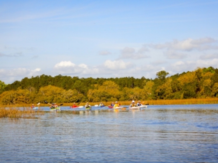 Salt marsh and Islands in "the Wimbee."