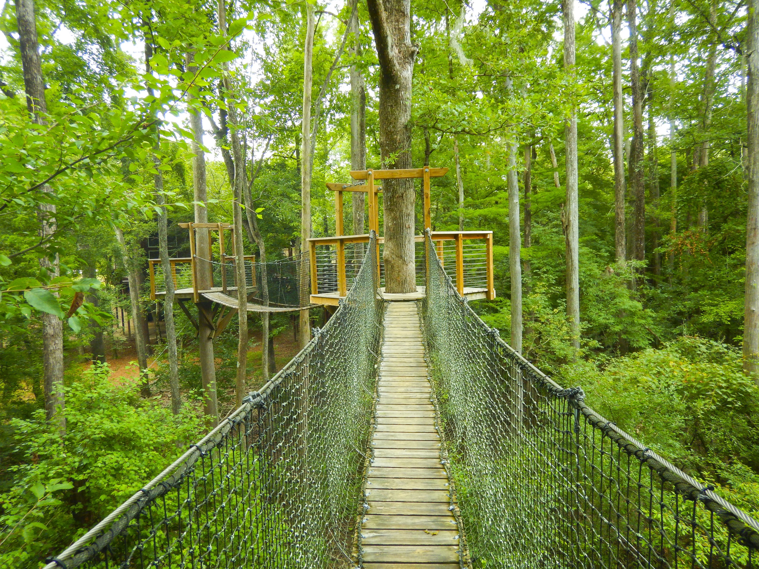 Lynches River Shots for Blog_34.JPG