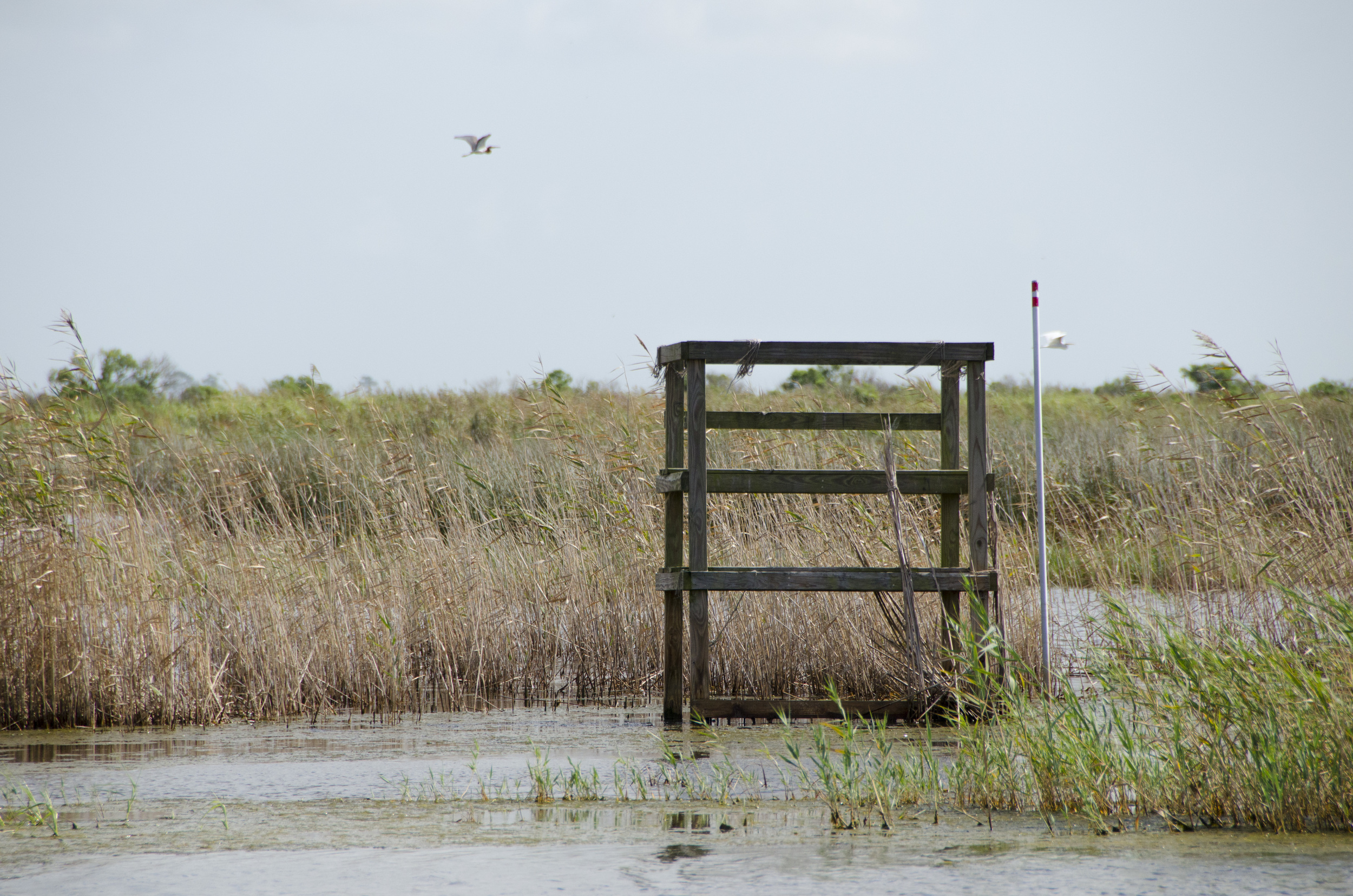 Prime real estate come late November