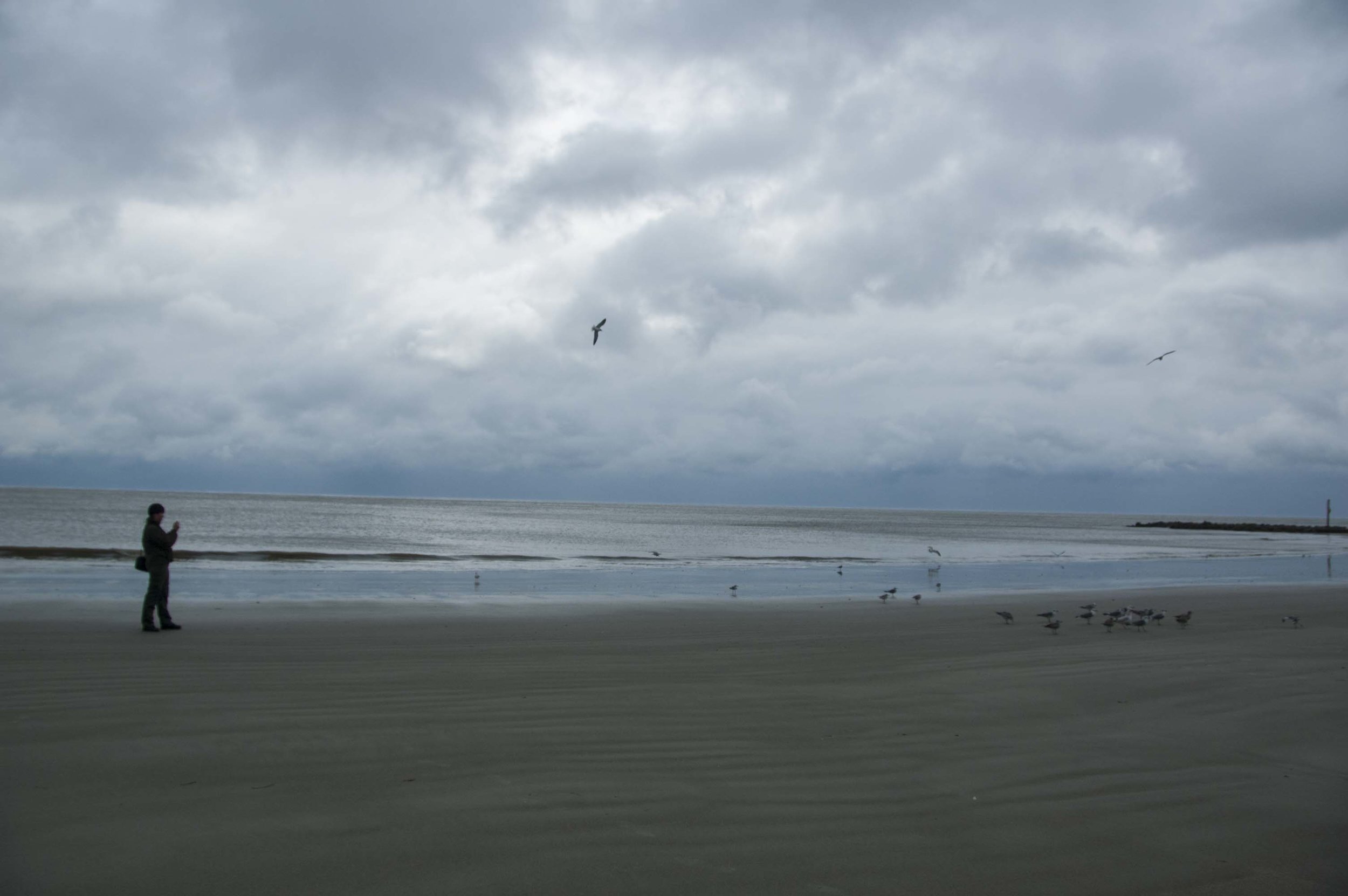 Hunting Isl Winter Photo Walk_DL_062.JPG