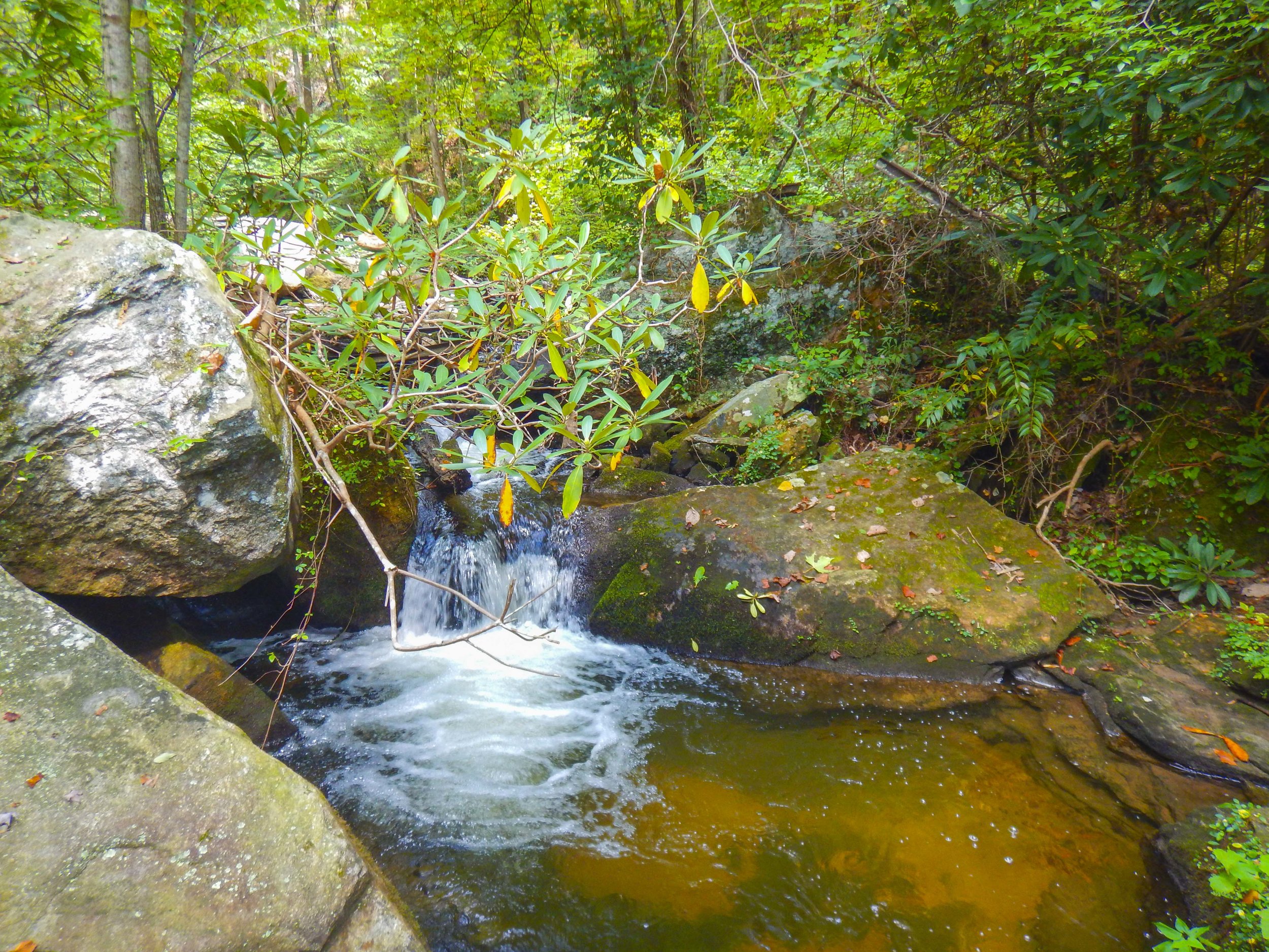 Reedy Cove Falls for Blog by DLucas_14.JPG