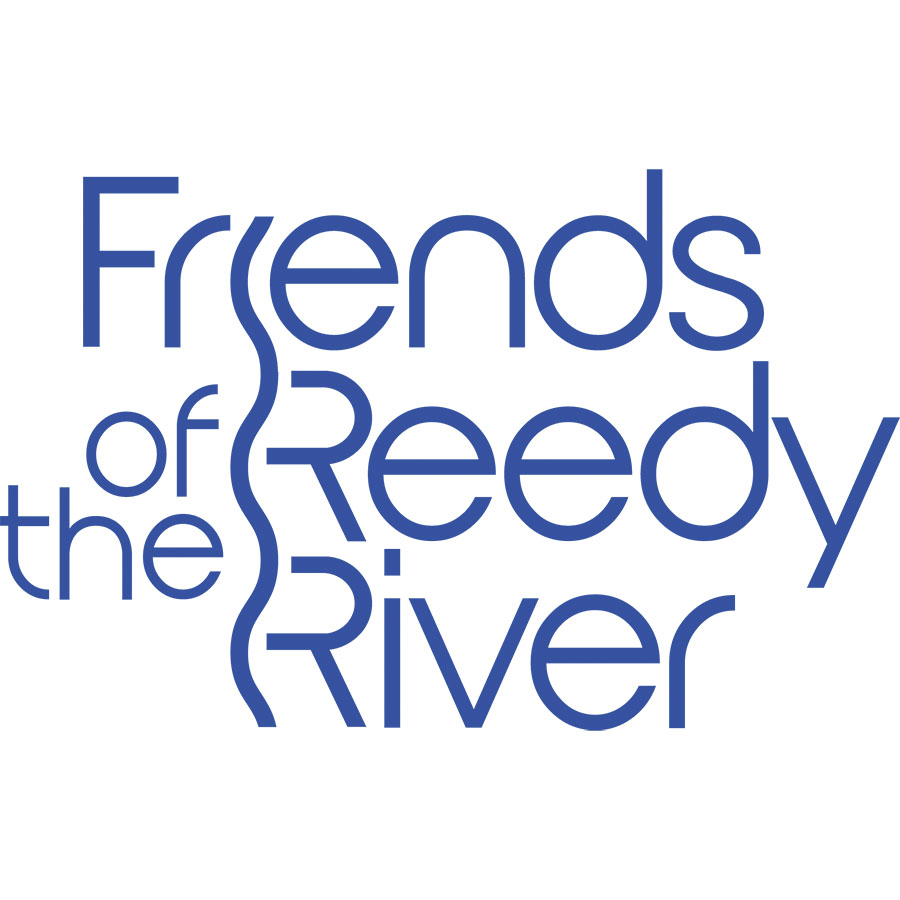 SCW Cover SO-81 for TBT_11292018.JPG