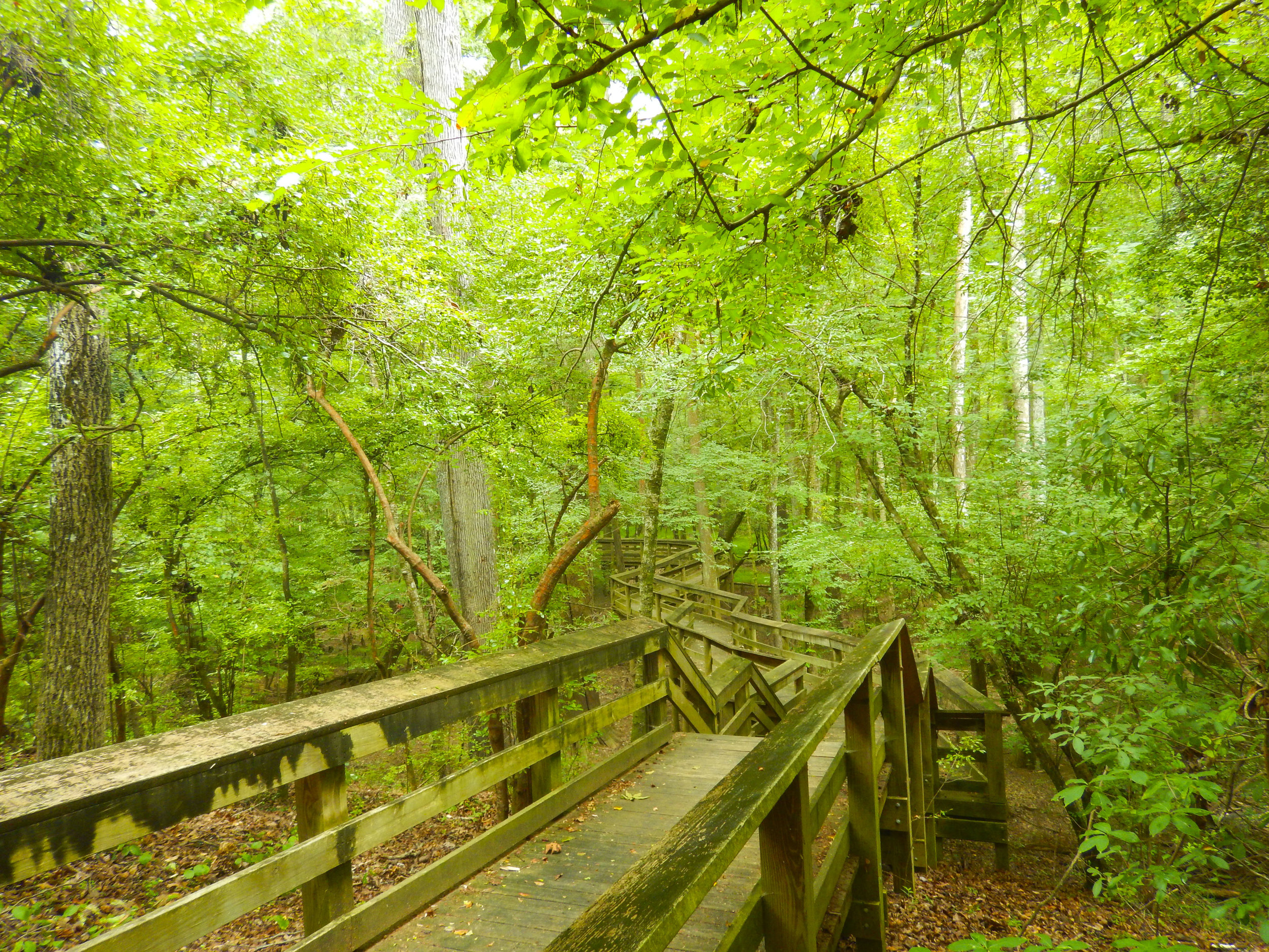 Lynches River Shots for Blog_38.JPG