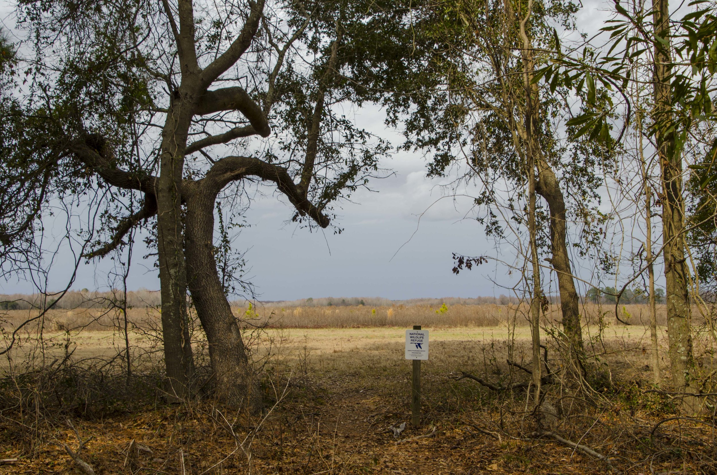 SNWR-Bluff Unit for Blog_6.JPG