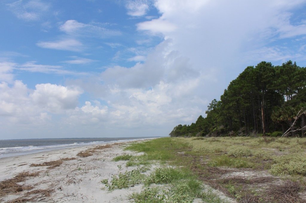 Enjoy SCDNR Beaches & Islands? Take This&nbsp;Survey