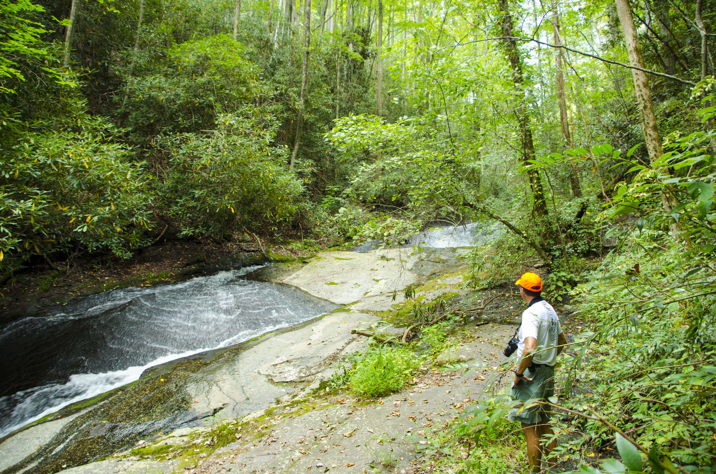 Reedy Cove Falls for Blog by DLucas_12.JPG