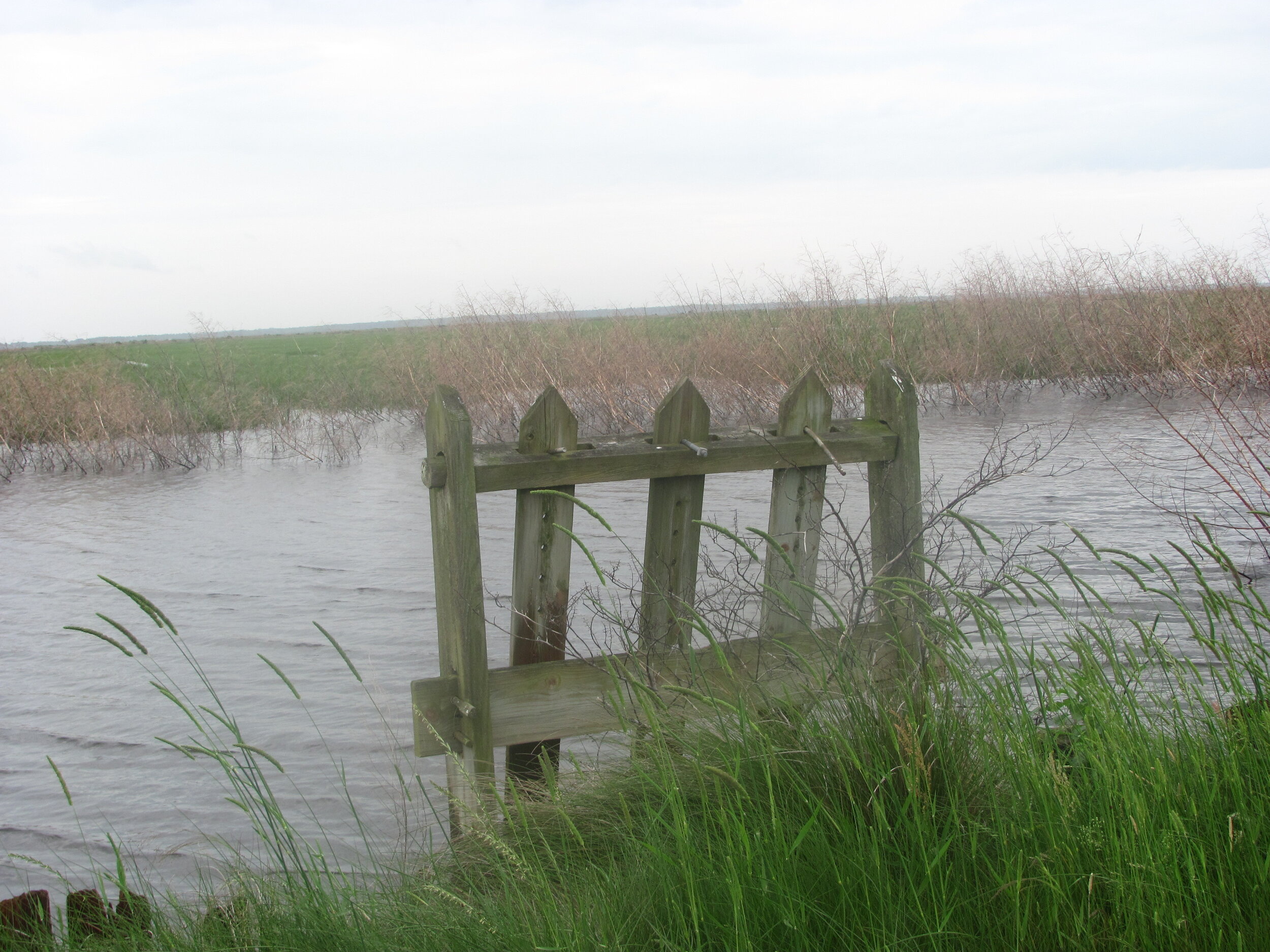 NAWCA has had tremendous benefit in terms of protecting critical waterfowl habitats in the Lowcountry of S.C.
