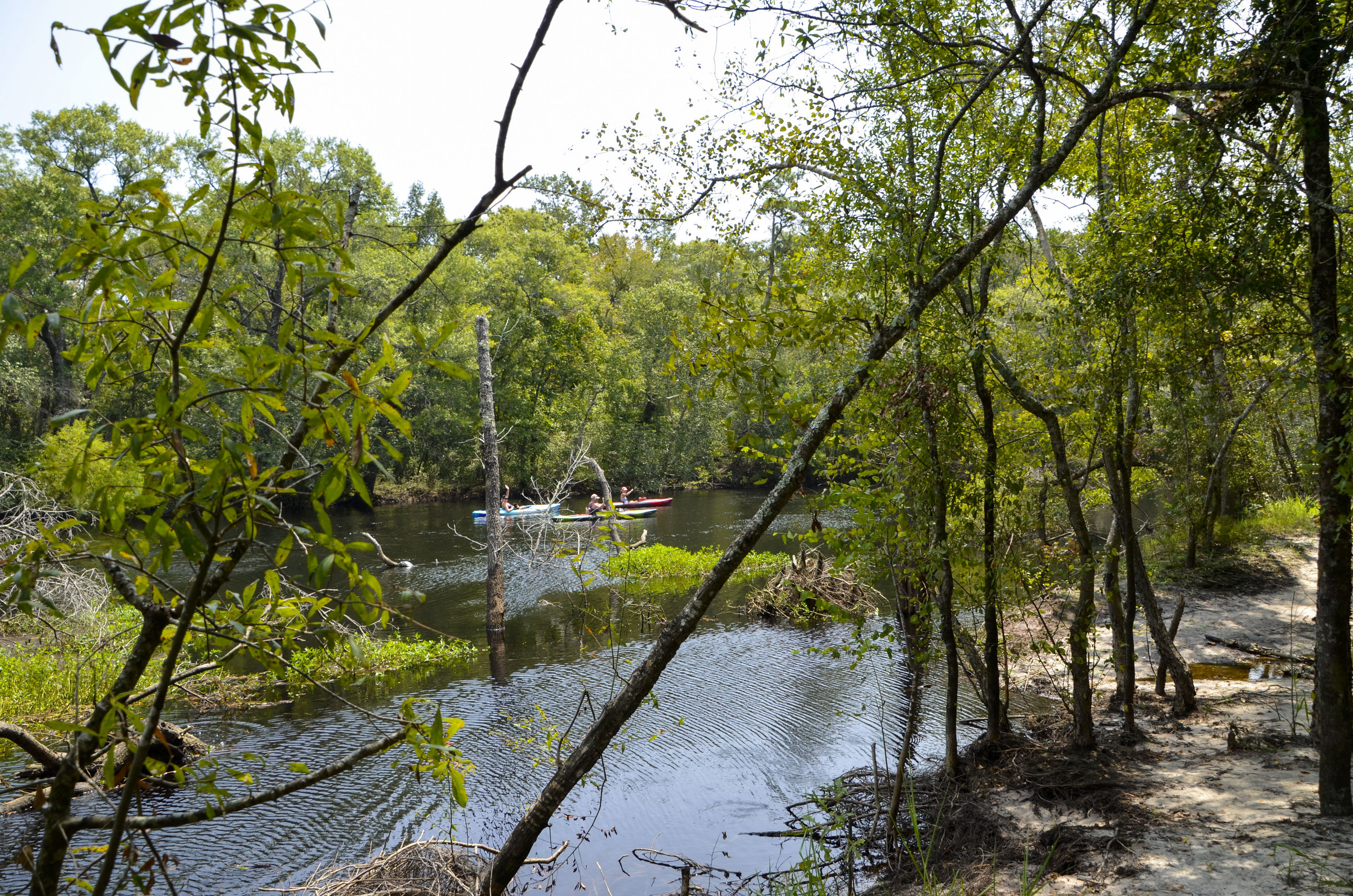  Paddlers seen from walking/bank fishing trail downstream from the dock at Chris Anderson Landing. [Note: The SCDNR strongly urges all boaters to wear an approved PDF at all times while on the water.] 