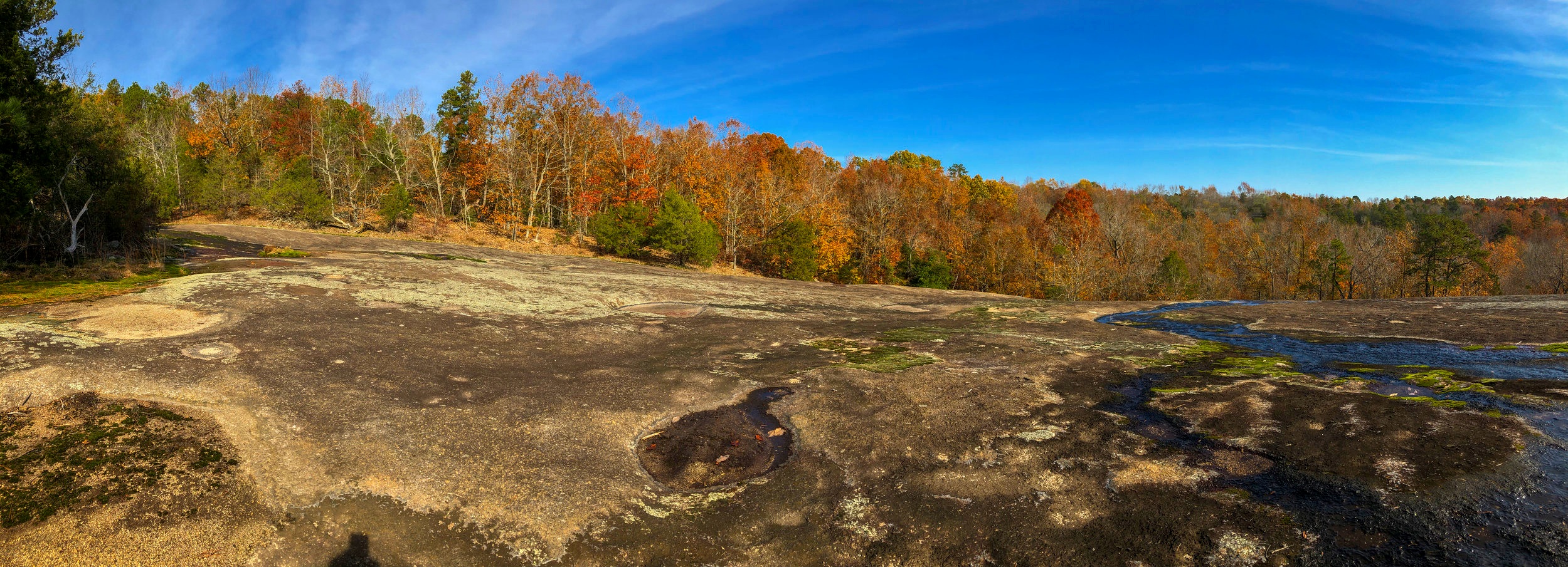 The lichen-covered rock and water-filled depressions make for a unique setting atop the SCDNR’s Forty Acre Rock .