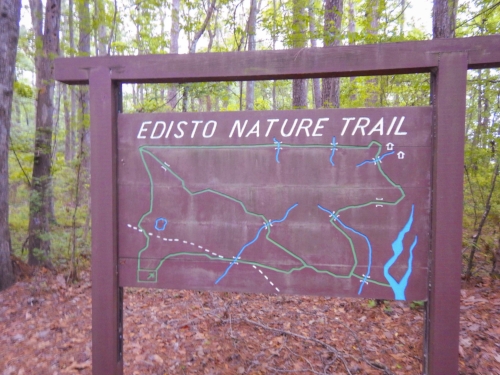 Stay to the right from the parking lot to go straight to the river, or take the trail marked "Pon Pon spur" for a longer loop that will take you through the old phosphate mining pits.