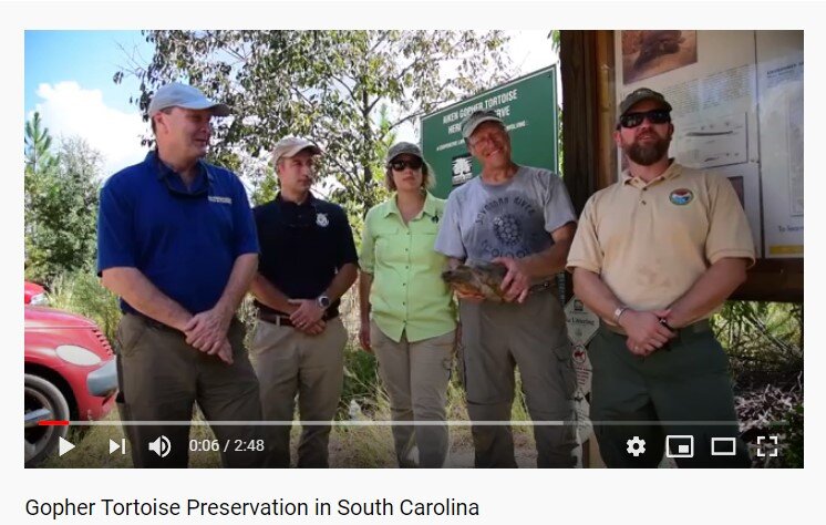 Scott Pfaff (far left) and SCDNR’s Will Dillman (far right), along with representatives from the U.S. Fish and Wildlife Service, University of Georgia’s Savannah River Ecology Lab, SCDNR and the Longleaf Alliance Talk about efforts to restore native…