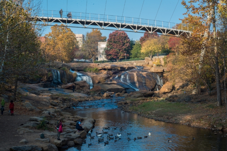 Healthy rivers help build healthy economies! Now local and regional economic development officials point to the River and the pedestrian bridge spanning it as a focal point for a revived and booming downtown Greenville.