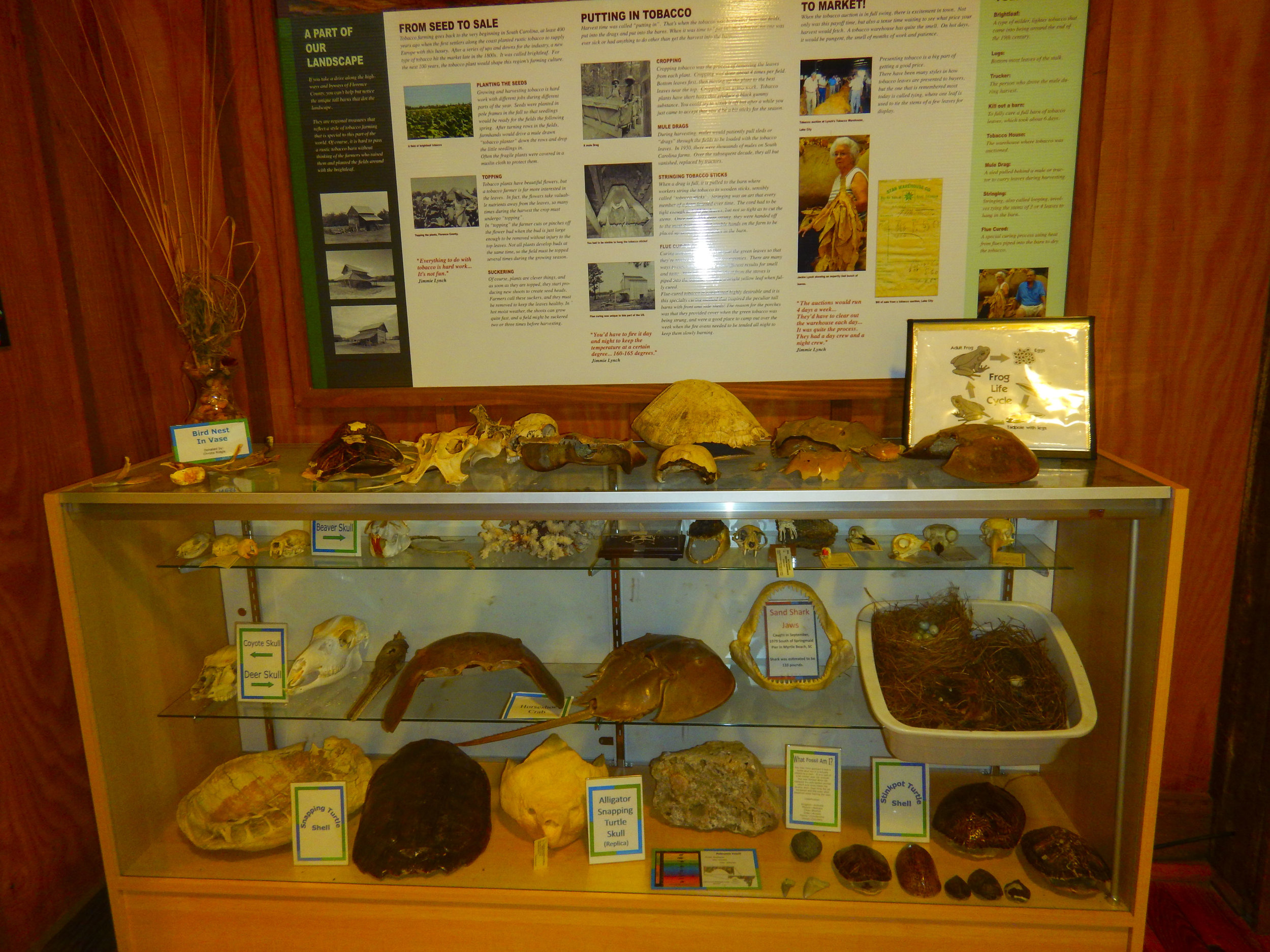 Lynches River Shots for Blog_28.JPG