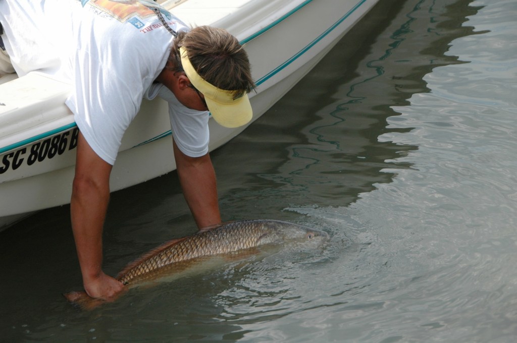 Seven Tips for Successful Catch and&nbsp;Release