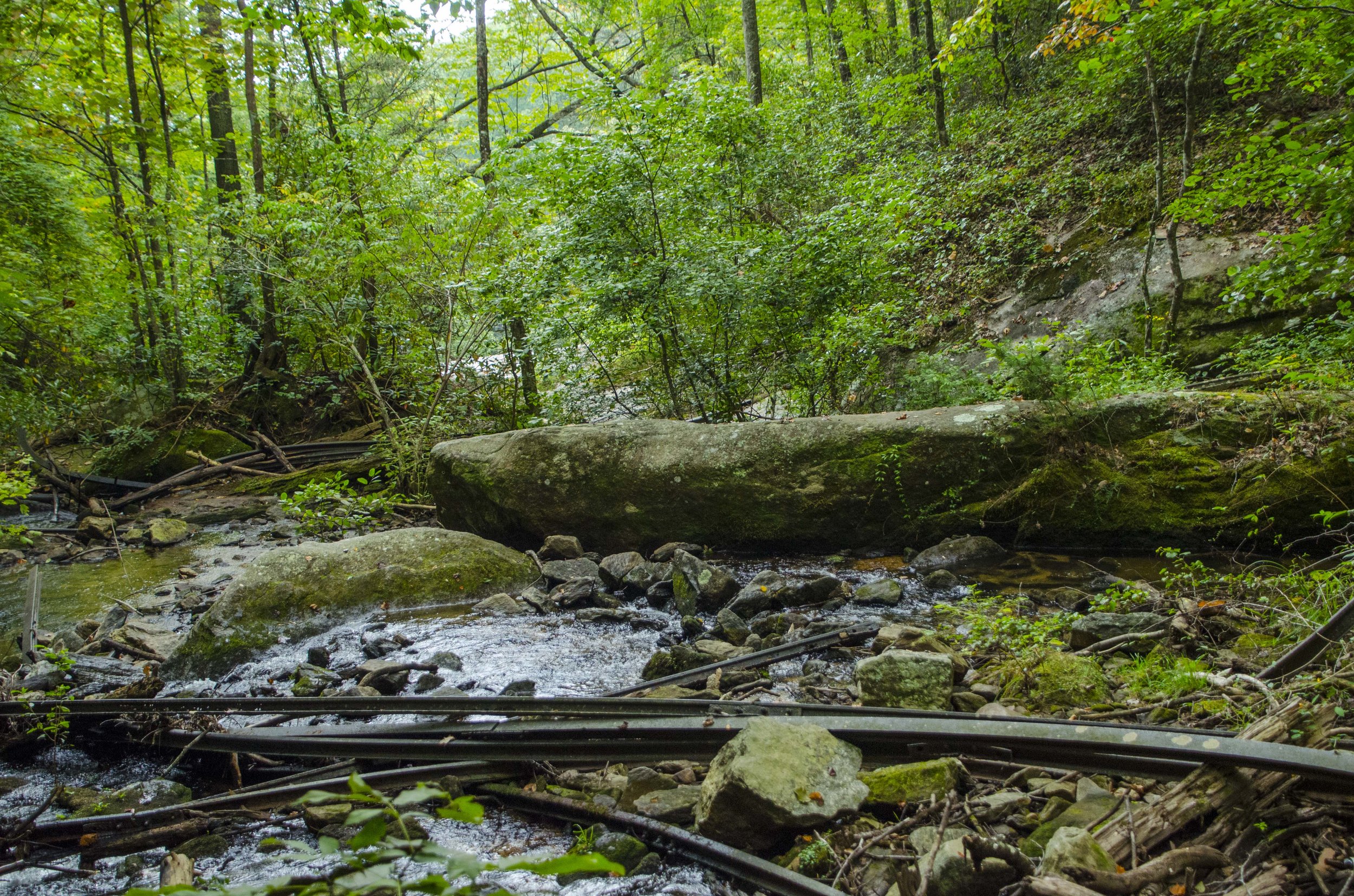 Reedy Cove Falls for Blog by DLucas_7.JPG