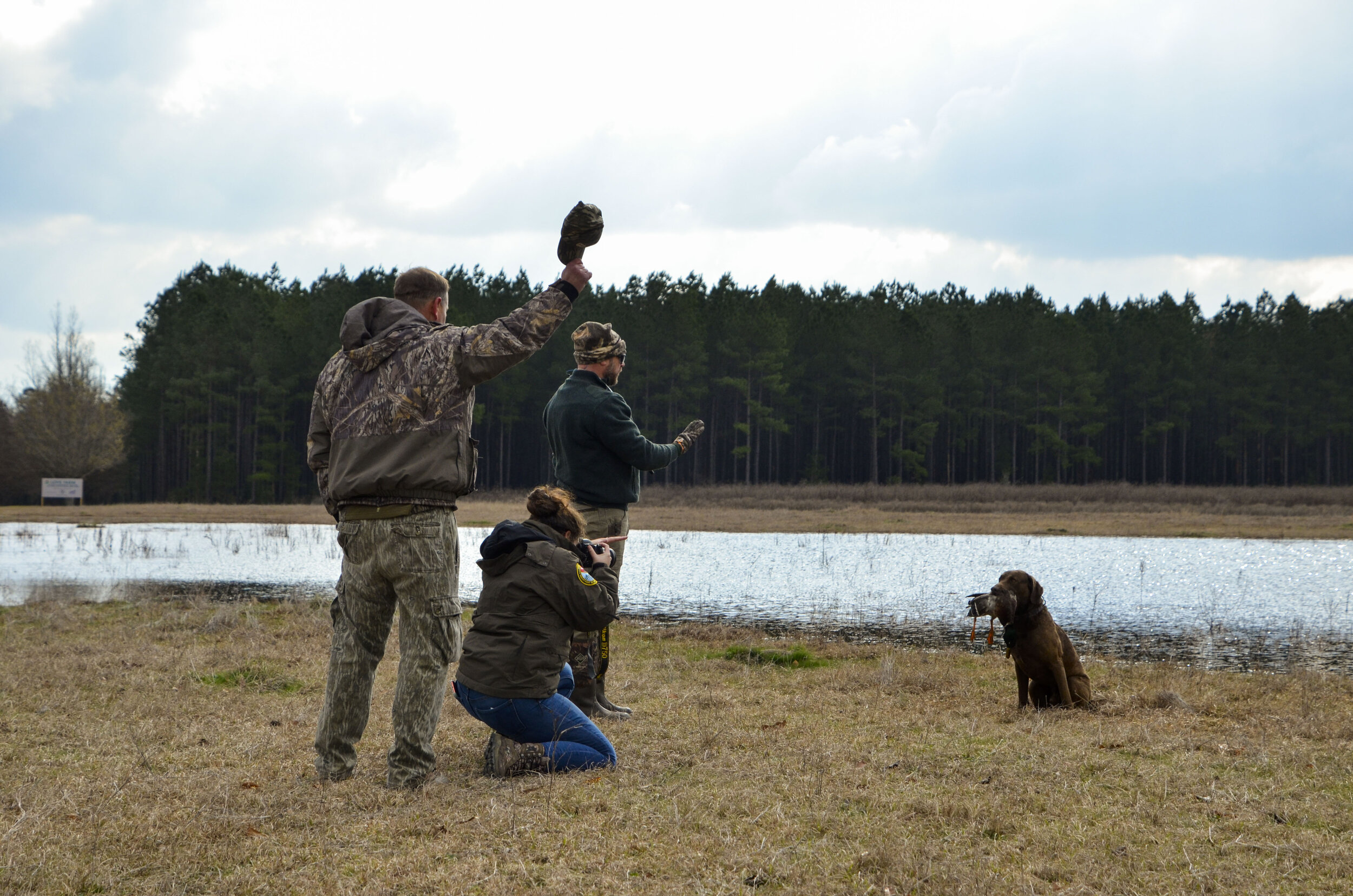 Love Farm Dog Photos_DLucas_138_1.JPG