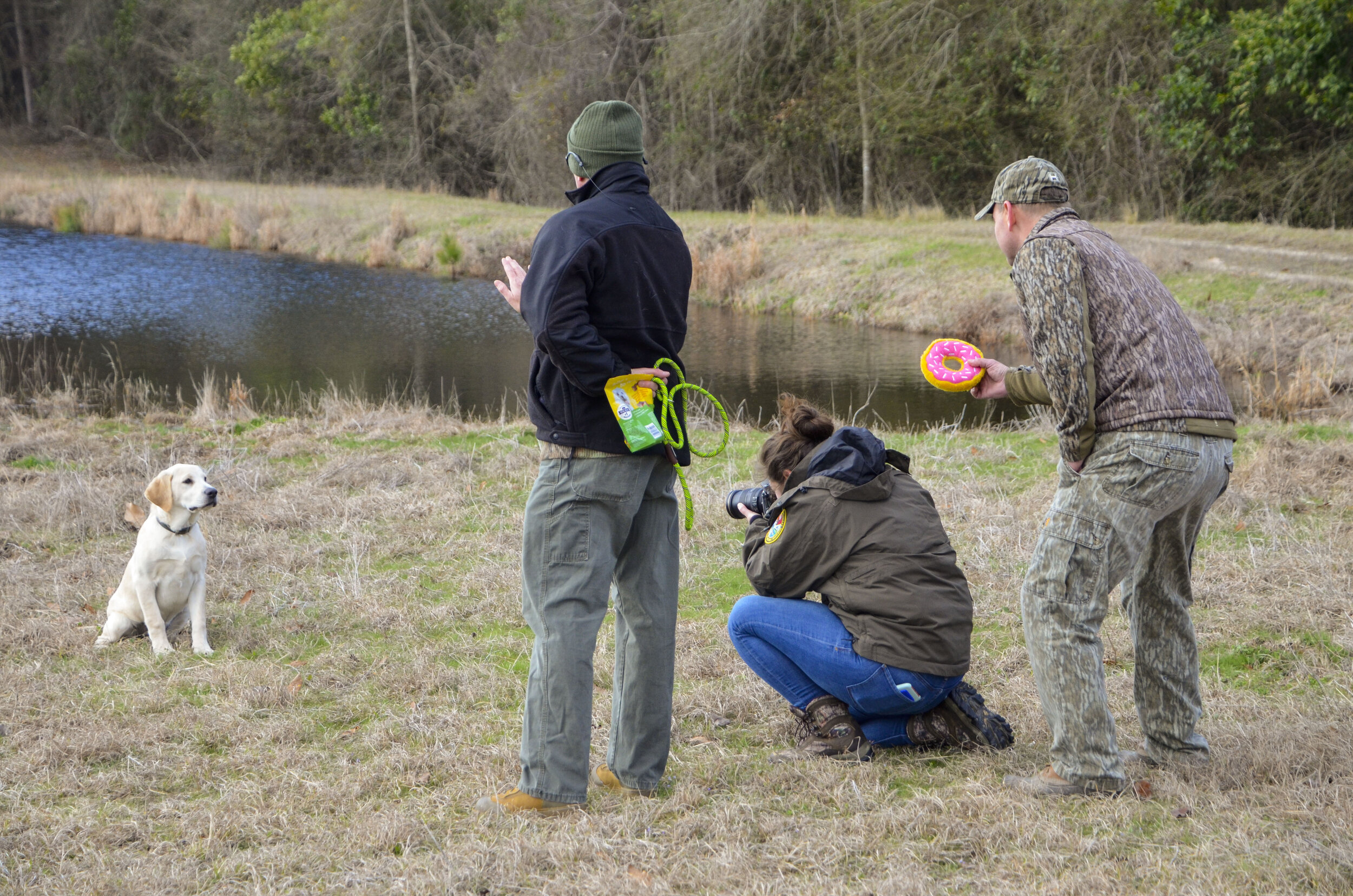 Love Farm Dog Photos_DLucas_060_1.JPG