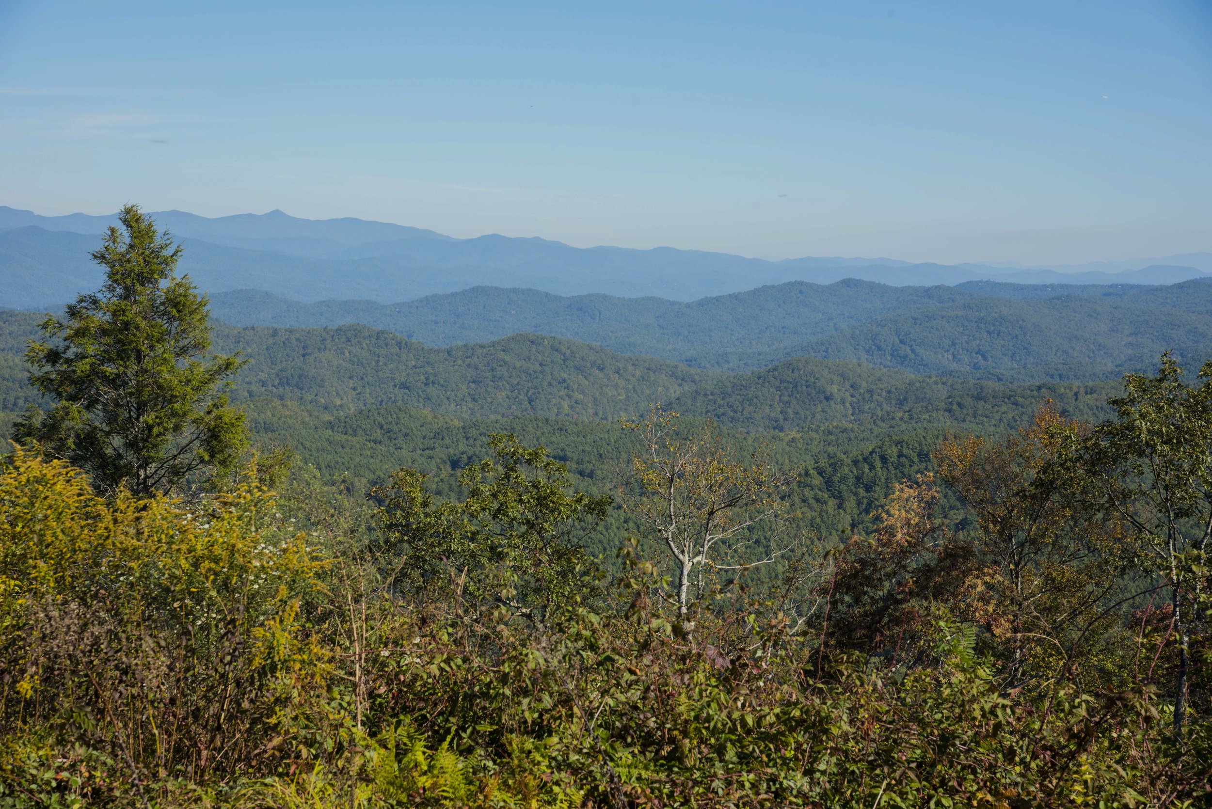 Sassafras Mountain is the highest peak in South Carolina.&nbsp; (SCDNR photo by Taylor Main)