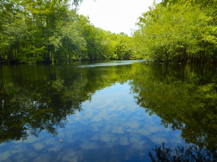 Clouds cast reflections on the water at Wortham's Ferry Landing. The Waccamaw is a classic blackwater river, with clear,&nbsp;dark waters and shady, tree-lined banks that make for beautiful scenery.&nbsp;[SCDNR image by David Lucas -- see complete p…