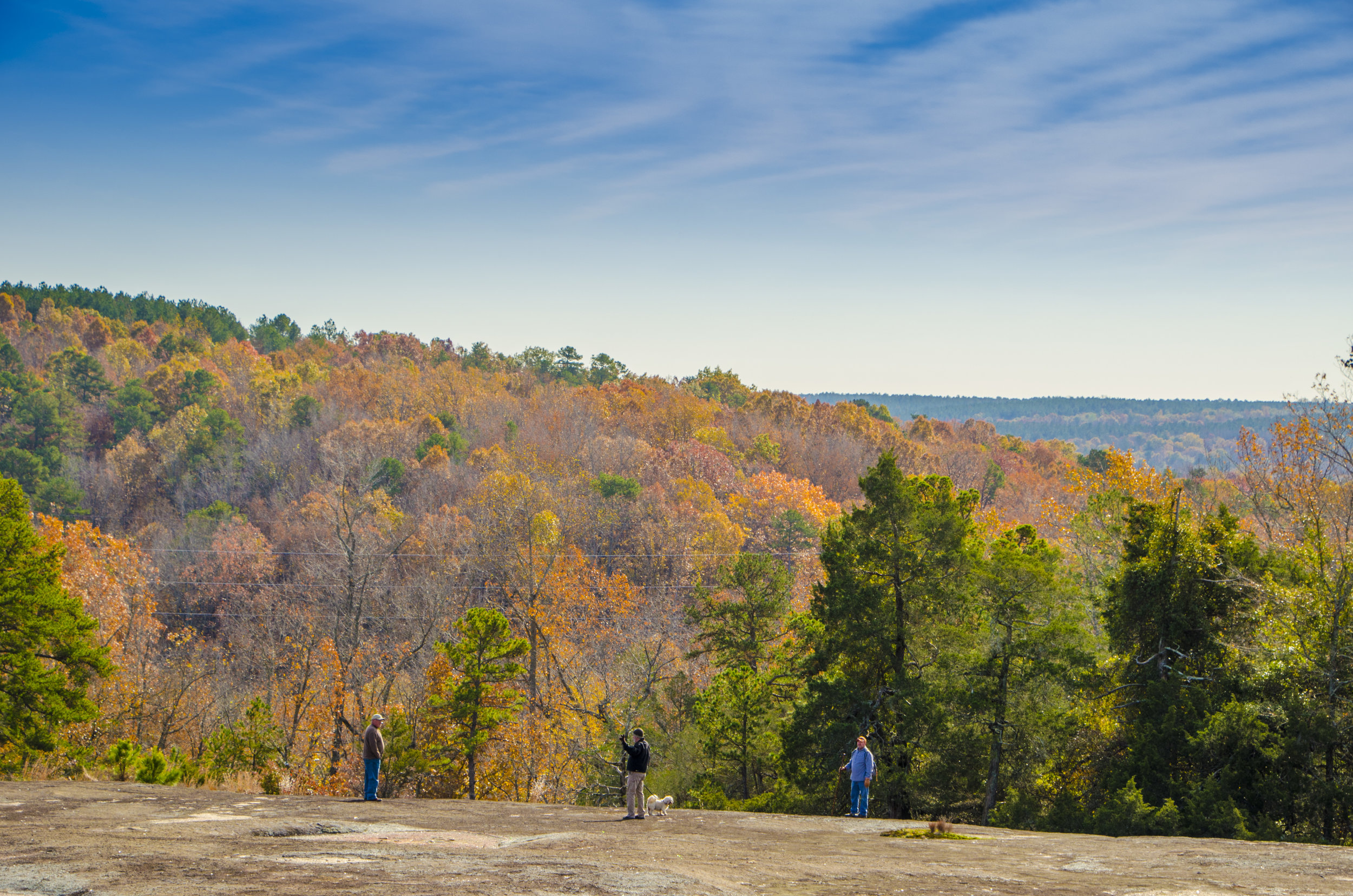 Three men and a dog enjoy the long view across the Flat Creek floodplain.