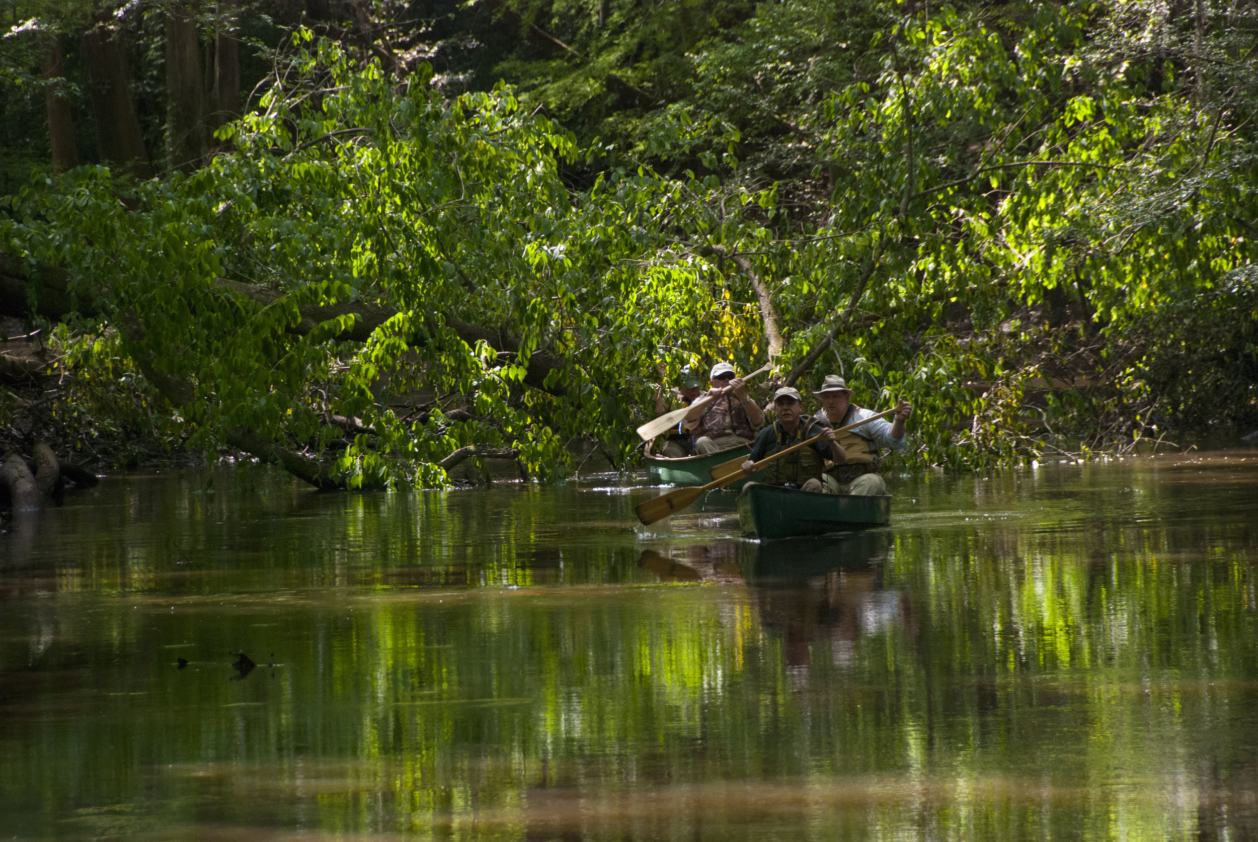 Cedar Creek Views_3.JPG