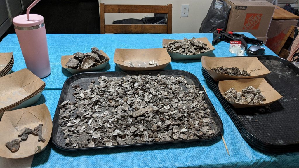 Archaeology Internships During a Global&nbsp;Pandemic