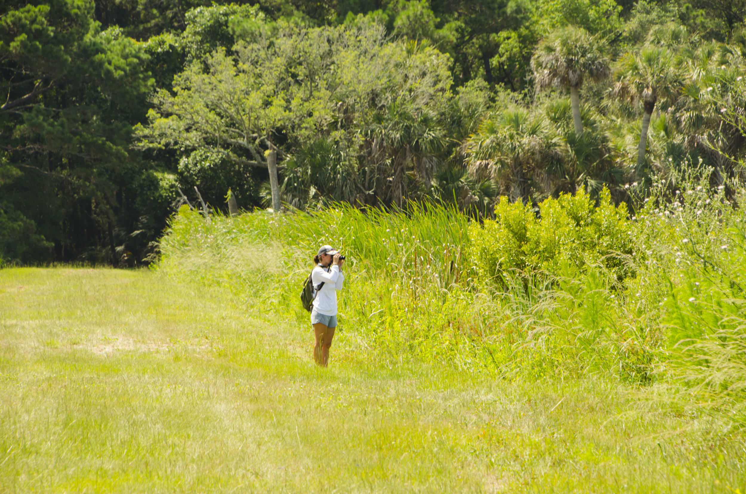  Binoculars will help you see lots of birds and other wildlife. 