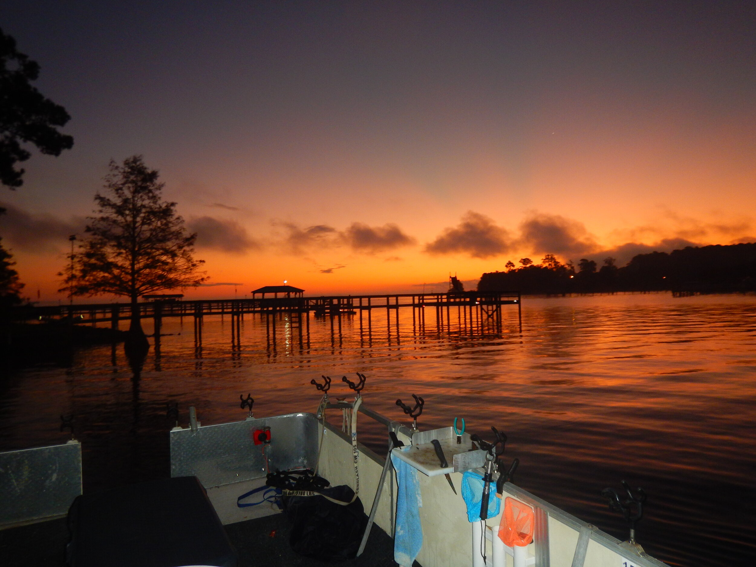 Sunrise lights up a cypress tree near a dock on lake Marion during an early morning departure for a day of fishing. [SCDNR photo by David Lucas]
