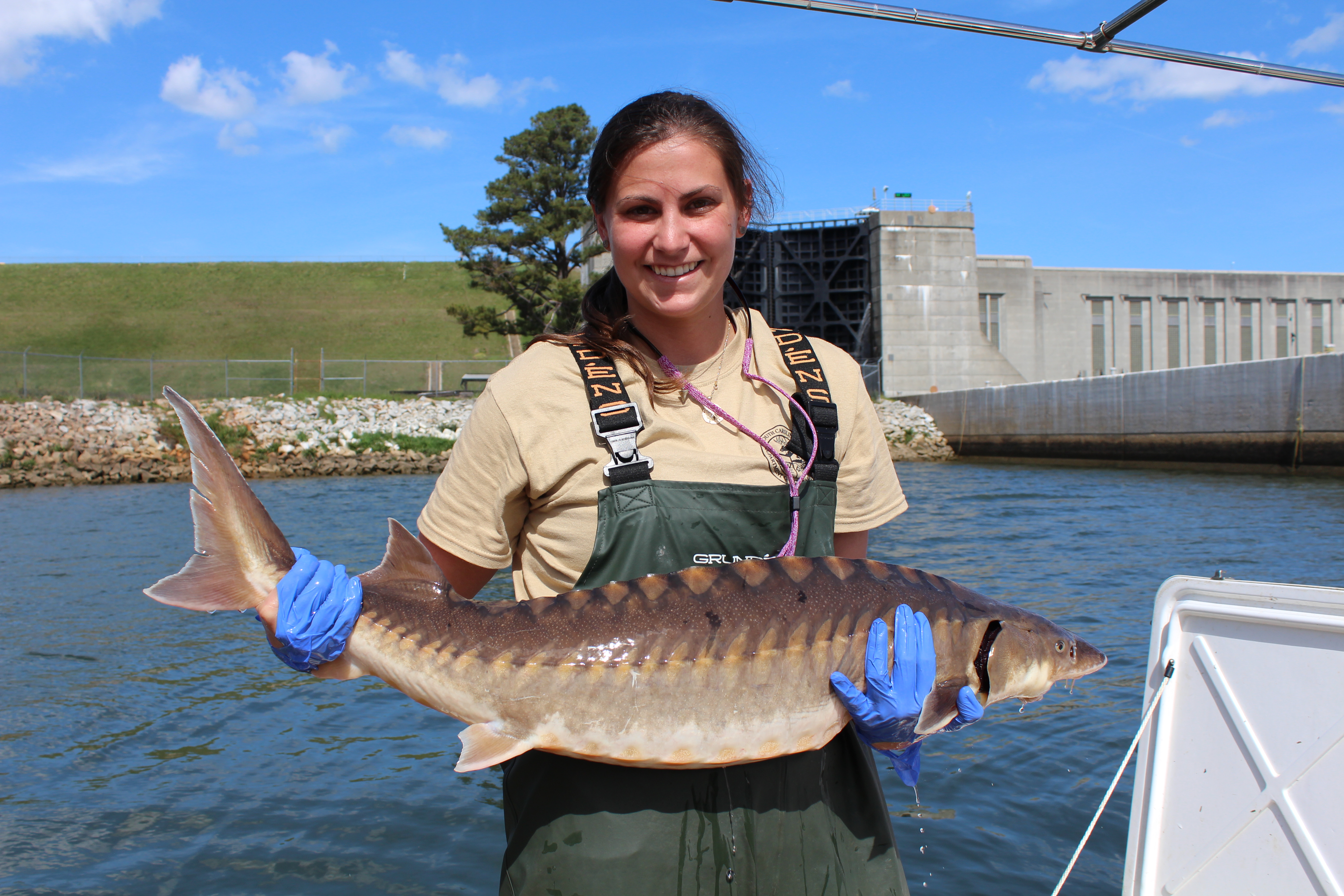 Sdf Fish SCDNR Blog – The official blog of the South Carolina Department of ...